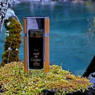 Spring 'MUST' come to all. 'Acqua Alpes' 🌼 🔹️ 🍀 . Danke für Deinen Besuch. 💫