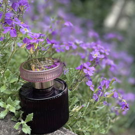 Amber Elixir Mystery - Oriflame