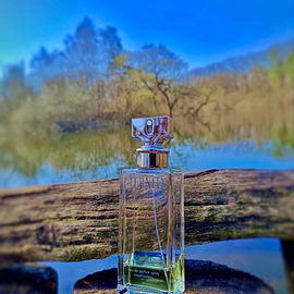 Eternity (Eau de Parfum) - Calvin Klein