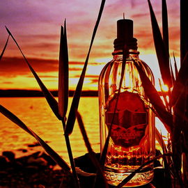 Ambre / Amber (Eau de Toilette) - L'Occitane en Provence