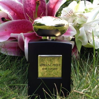 Armani Privé - Rose d'Arabie von Giorgio Armani