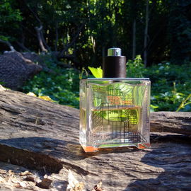 Gentleman - Oscar de la Renta