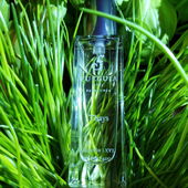 **für Carlos Thays gewidmet** (by Olkaolka)