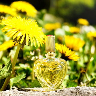 Escada - Escada Margaretha Ley (1990)