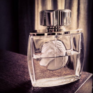 Lalique pour Homme Equus (Eau de Toilette) - Lalique