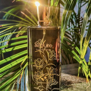 Seduire by Luxury Concept Perfumes