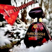 Das Instrument wird nie erklingen, habe ich selber gebastelt aus Karton:). (von Zora)