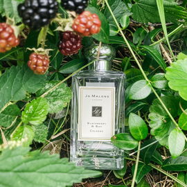 Scarlet Poppy - Jo Malone