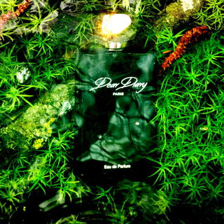 Deep Deep in the Baltic - Dear Diary