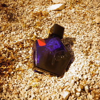 Au Coeur du Désert by Tauer Perfumes