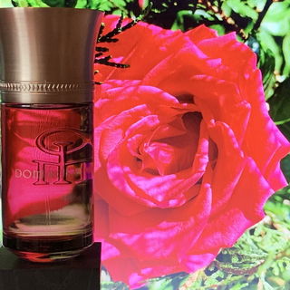 Dom Rosa von Liquides Imaginaires