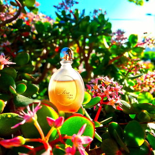 Aire Allegro von Loewe