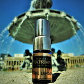 Kettenkarussellpilz (von Floyd)