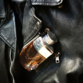 Lalique pour Homme Lion (Eau de Toilette) - Lalique