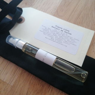 Figure Libre von Technique Indiscrète