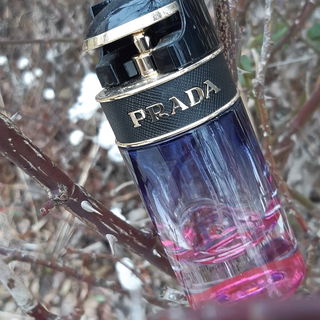 Candy Night (Eau de Parfum)