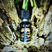 Waldmanns Heim (von Floyd)