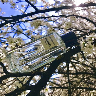 Der Frühling grüsst euch :-)