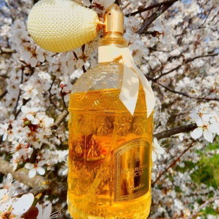 Mon Précieux Nectar - Guerlain