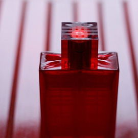 Brit Red - Burberry