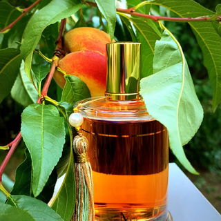 Péché Cardinal von Parfums MDCI