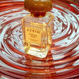 Evening Rose - Aerin