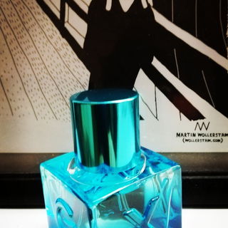 Mexx Man Festival Splashes - Mexx