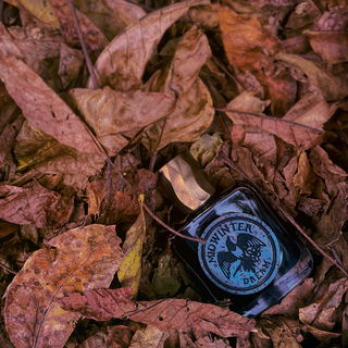 Midwinter Dream: Midwinter Blues by Folkwinds