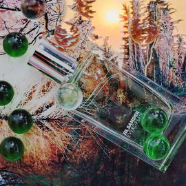 Evergreen - Jil Sander