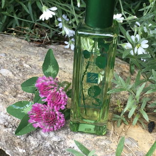 Nasturtium & Clover - Jo Malone