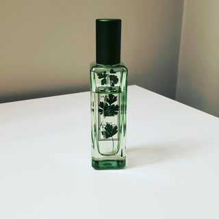 Wild Strawberry & Parsley - Jo Malone
