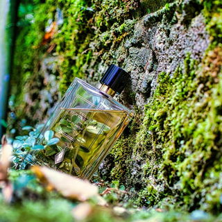 Tulum Junglescape - Simone Andreoli