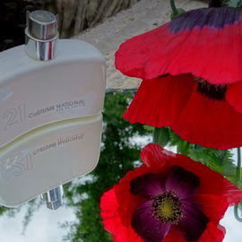 SCHLAFMOHN  Papaver somniferum