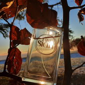 Abendrunde....schön wenns euch gefällt 😀 (von Scena2010)