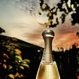 J'adore L'Or (2017) von Dior