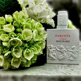 Habanita L'esprit - Molinard