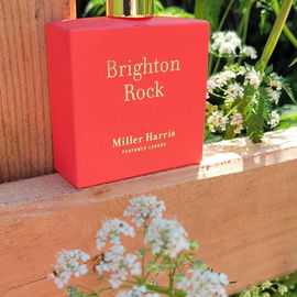 Brighton Rock - Miller Harris