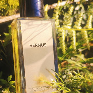 Vernus by Jorum Studio