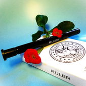 Bonsaiblumen (by Floyd)