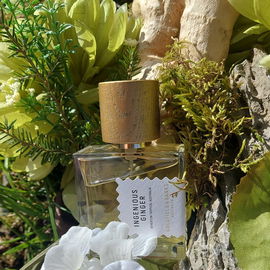 Ingenious Ginger - Goldfield & Banks