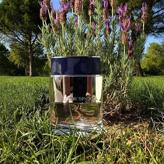 Théorème pour Homme - Rue Broca
