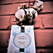 Can't beat the real thing #2 (von Floyd)