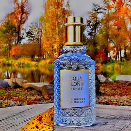 Ich war auf der Suche nach Wasser und fand diesen traumhaften Indian Summer