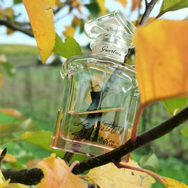 La Petite Robe Noire (Eau de Parfum Couture) - Guerlain
