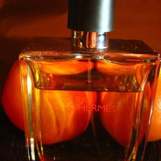Terre d'Hermès (Parfum) by Hermès