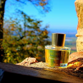 Gelsomino Nobile - Acqua di Parma