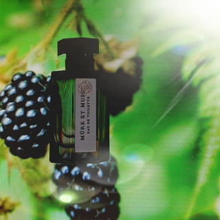 Mûre et Musc (Eau de Toilette) - L'Artisan Parfumeur