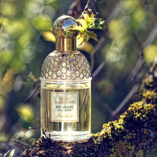 Aqua Allegoria Bergamote Calabria - Guerlain