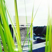 Leo Rumz (by ChatonNoir)