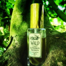 Wald (Eau de Parfum) - Euphorium Brooklyn